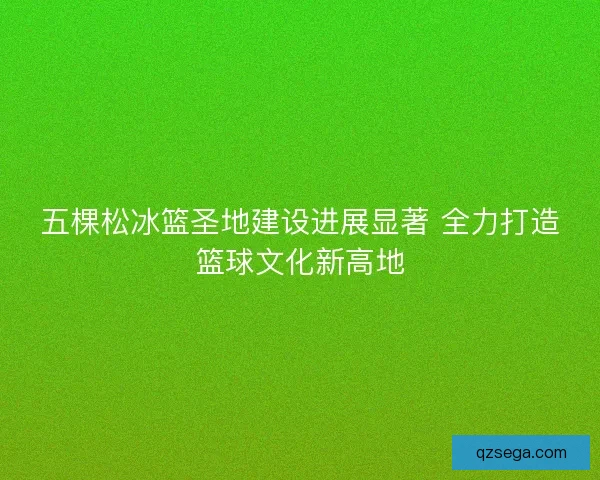 五棵松冰篮圣地建设进展显著 全力打造篮球文化新高地